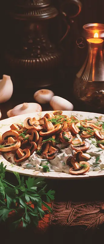 Zucht_Champignon - Zuchtpilze vom Pilzgroßhändler